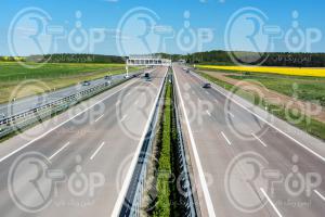 فروش عمده رنگ ترافیکی گرم