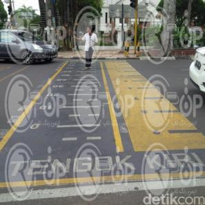 فروشندگان رنگ ترفیکی شیراز