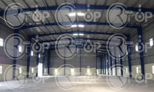 پخش کلی رنگ سبز سوله