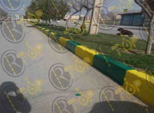 دریافت لیست قیمت رنگ جدولی نیپون یا گوزنی از ایمن رنگ تاپ